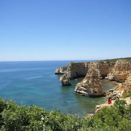 Teresa Albufeira